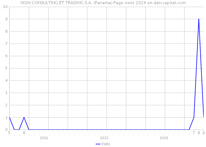 NGIN CONSULTING ET TRADING S.A. (Panama) Page visits 2024 