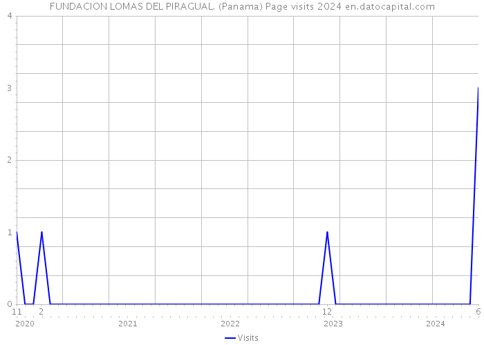FUNDACION LOMAS DEL PIRAGUAL. (Panama) Page visits 2024 