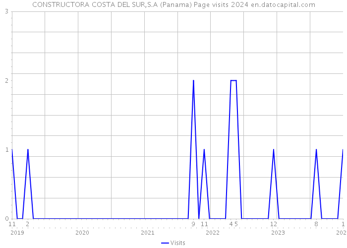 CONSTRUCTORA COSTA DEL SUR,S.A (Panama) Page visits 2024 