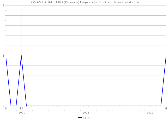 TOMAS CABALLLERO (Panama) Page visits 2024 