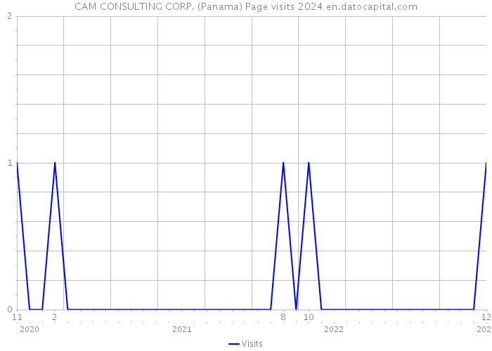 CAM CONSULTING CORP. (Panama) Page visits 2024 