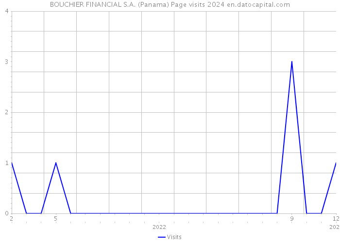 BOUCHIER FINANCIAL S.A. (Panama) Page visits 2024 