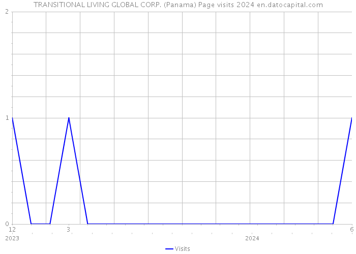 TRANSITIONAL LIVING GLOBAL CORP. (Panama) Page visits 2024 