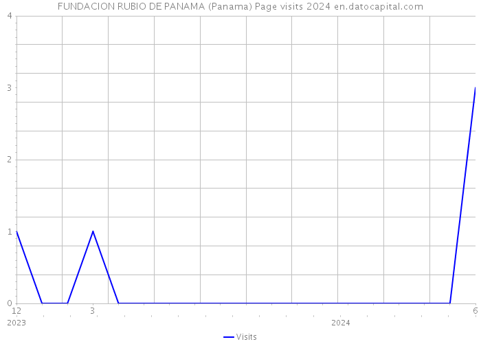 FUNDACION RUBIO DE PANAMA (Panama) Page visits 2024 