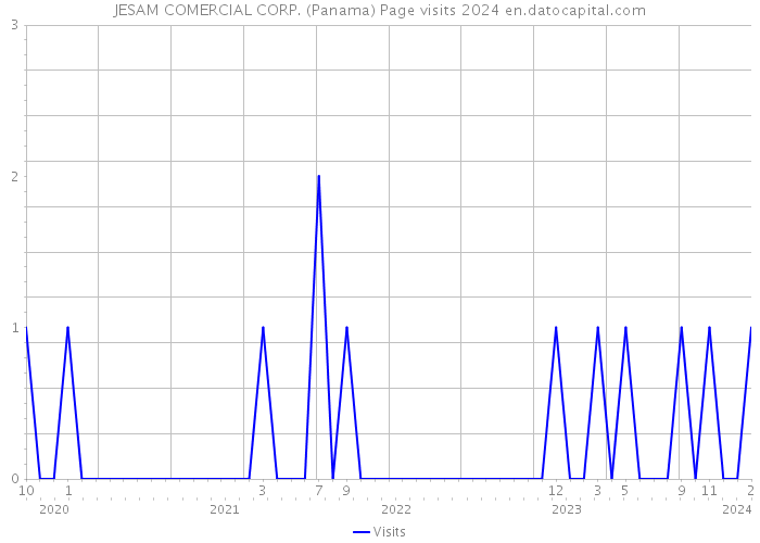 JESAM COMERCIAL CORP. (Panama) Page visits 2024 