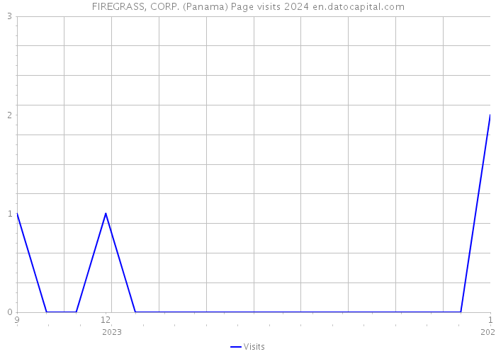 FIREGRASS, CORP. (Panama) Page visits 2024 