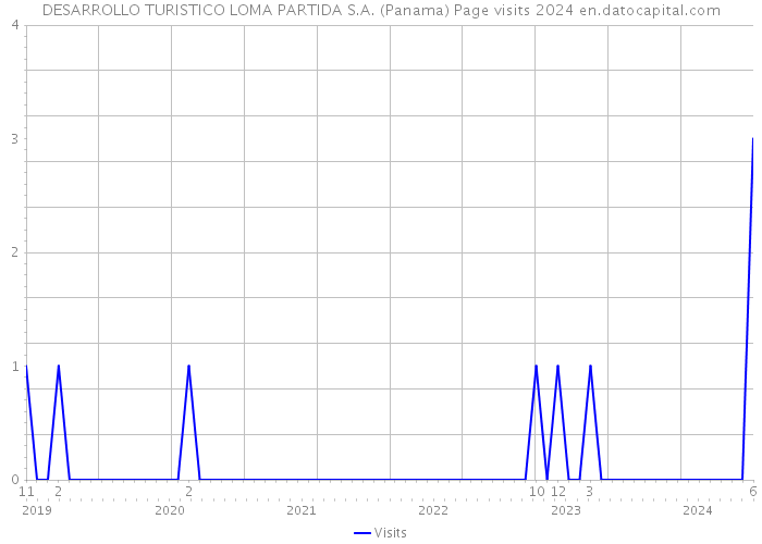 DESARROLLO TURISTICO LOMA PARTIDA S.A. (Panama) Page visits 2024 