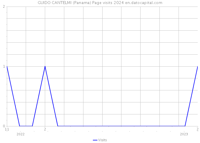 GUIDO CANTELMI (Panama) Page visits 2024 