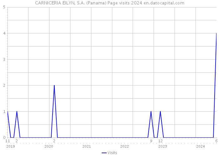 CARNICERIA EILYN, S.A. (Panama) Page visits 2024 