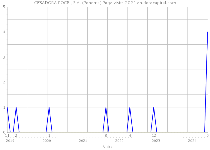 CEBADORA POCRI, S.A. (Panama) Page visits 2024 