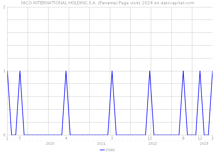 NICO INTERNATIONAL HOLDING S.A. (Panama) Page visits 2024 