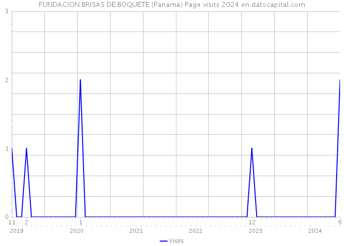 FUNDACION BRISAS DE BOQUETE (Panama) Page visits 2024 