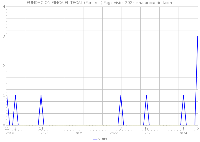 FUNDACION FINCA EL TECAL (Panama) Page visits 2024 