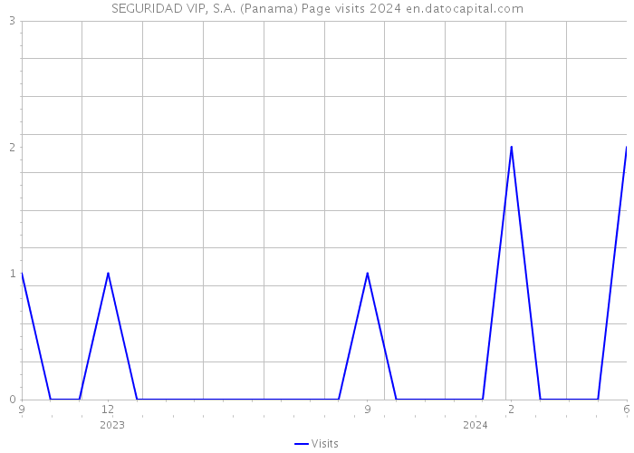 SEGURIDAD VIP, S.A. (Panama) Page visits 2024 