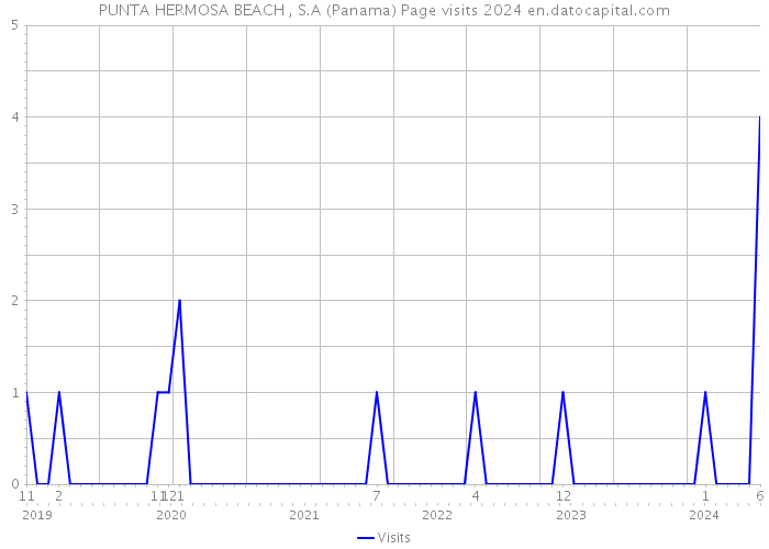 PUNTA HERMOSA BEACH , S.A (Panama) Page visits 2024 