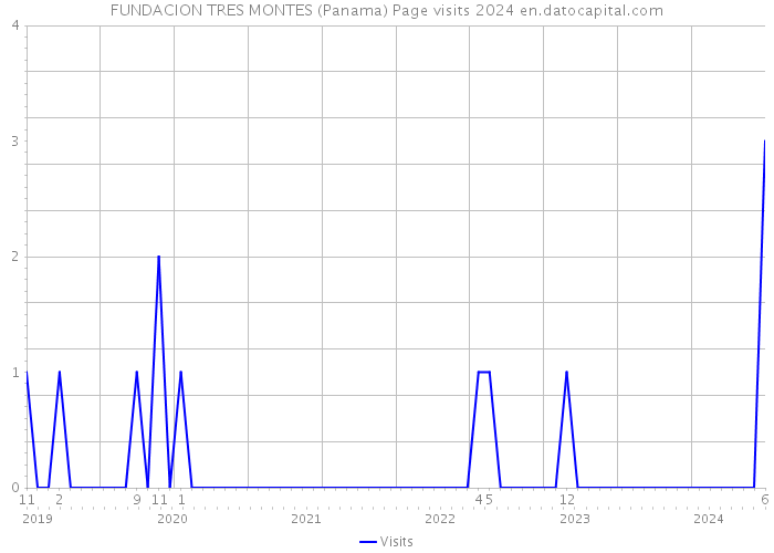 FUNDACION TRES MONTES (Panama) Page visits 2024 
