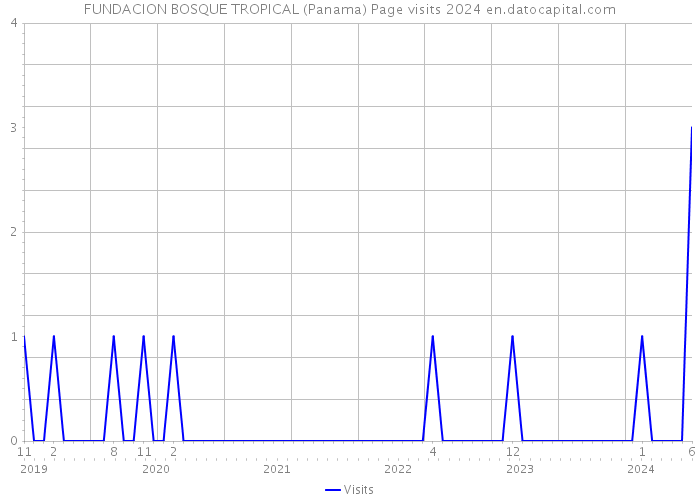 FUNDACION BOSQUE TROPICAL (Panama) Page visits 2024 