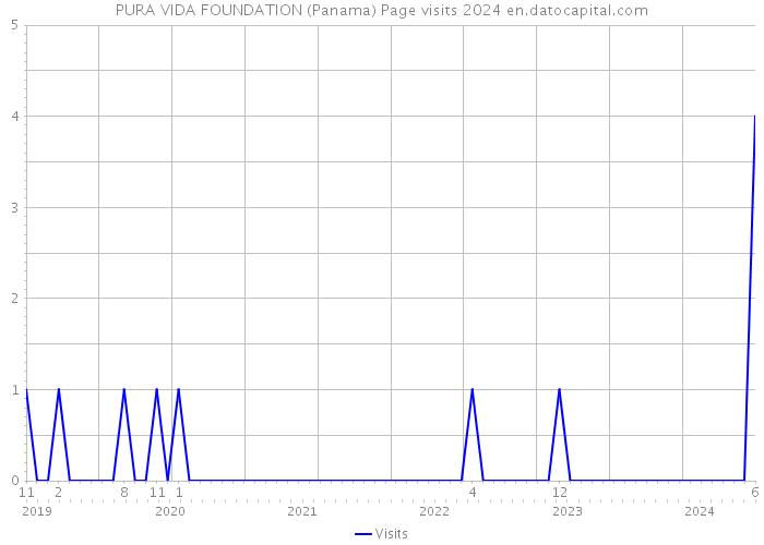 PURA VIDA FOUNDATION (Panama) Page visits 2024 