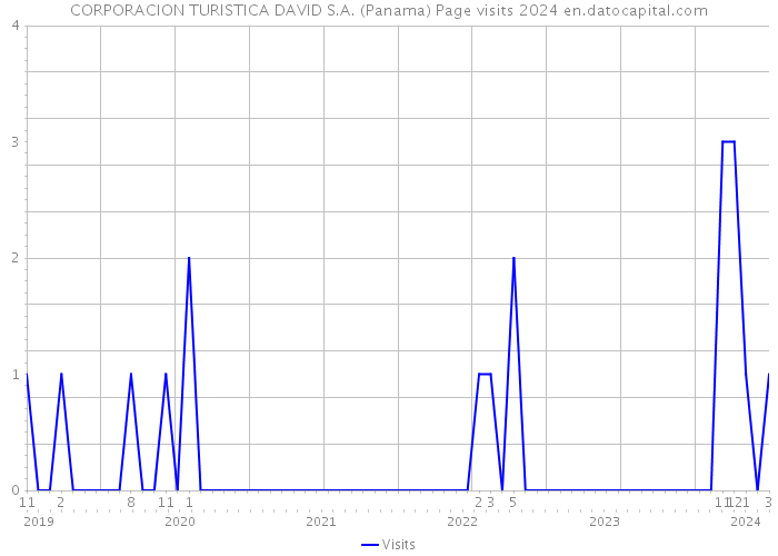 CORPORACION TURISTICA DAVID S.A. (Panama) Page visits 2024 