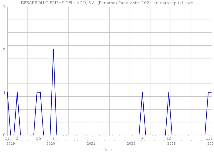 DESARROLLO BRISAS DEL LAGO, S.A. (Panama) Page visits 2024 