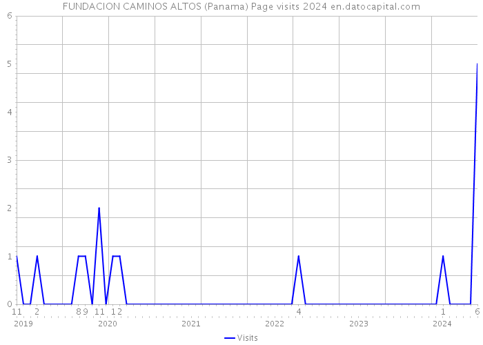 FUNDACION CAMINOS ALTOS (Panama) Page visits 2024 