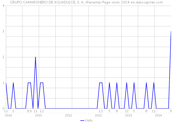 GRUPO CAMARONERO DE AGUADULCE, S. A. (Panama) Page visits 2024 