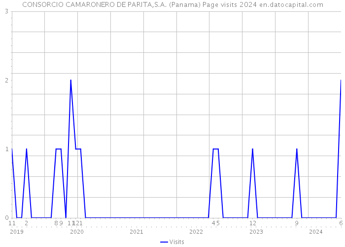 CONSORCIO CAMARONERO DE PARITA,S.A. (Panama) Page visits 2024 