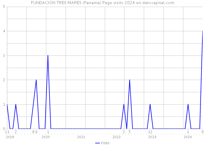 FUNDACION TRES MARES (Panama) Page visits 2024 