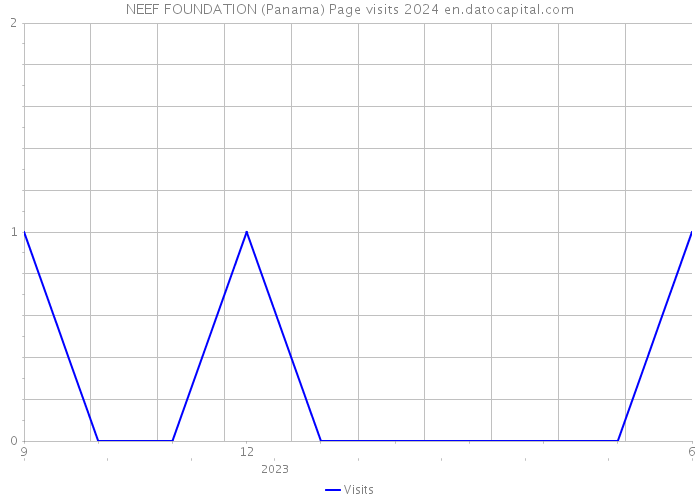 NEEF FOUNDATION (Panama) Page visits 2024 