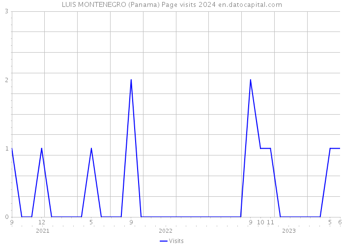 LUIS MONTENEGRO (Panama) Page visits 2024 
