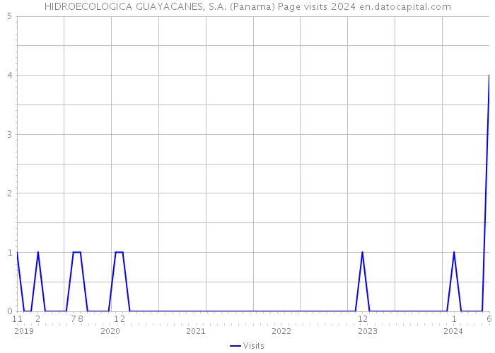 HIDROECOLOGICA GUAYACANES, S.A. (Panama) Page visits 2024 