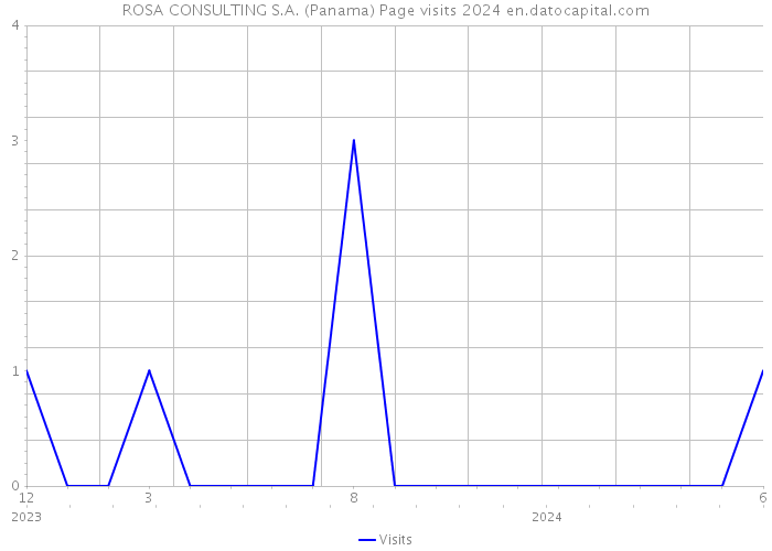 ROSA CONSULTING S.A. (Panama) Page visits 2024 