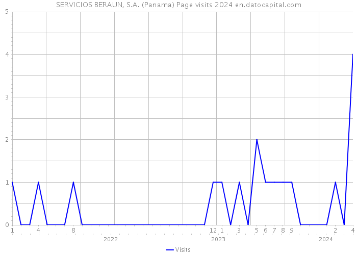SERVICIOS BERAUN, S.A. (Panama) Page visits 2024 