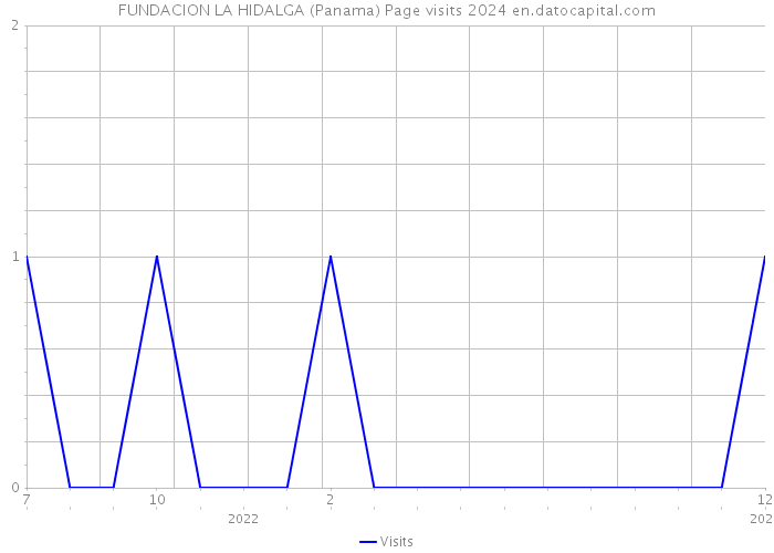 FUNDACION LA HIDALGA (Panama) Page visits 2024 
