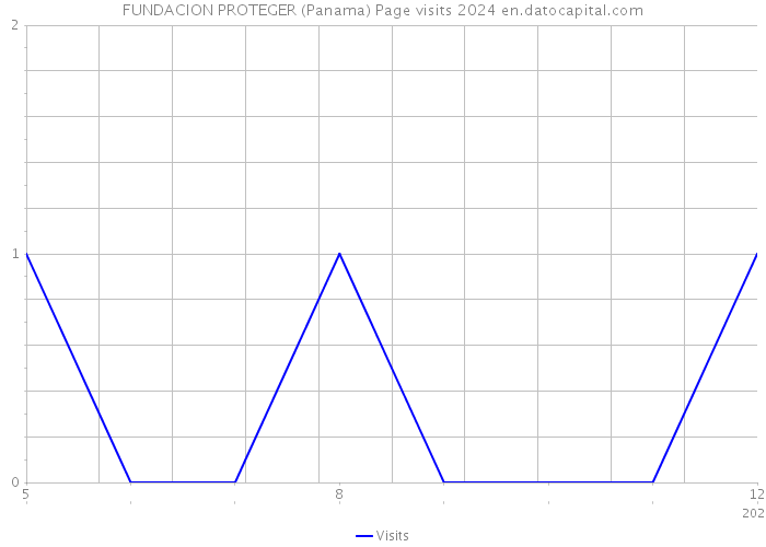 FUNDACION PROTEGER (Panama) Page visits 2024 