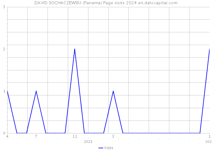 DAVID SOCHACZEWSKI (Panama) Page visits 2024 