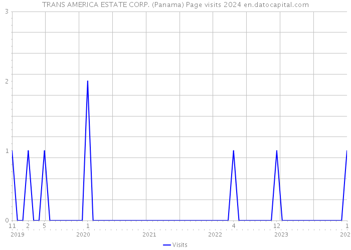 TRANS AMERICA ESTATE CORP. (Panama) Page visits 2024 