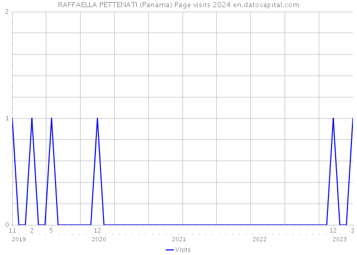 RAFFAELLA PETTENATI (Panama) Page visits 2024 