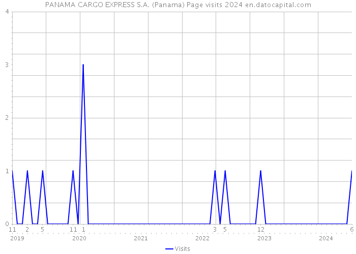 PANAMA CARGO EXPRESS S.A. (Panama) Page visits 2024 