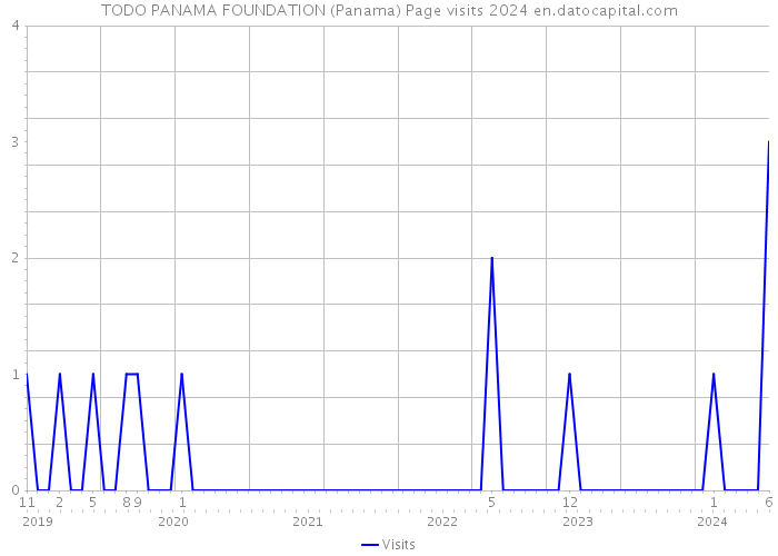 TODO PANAMA FOUNDATION (Panama) Page visits 2024 