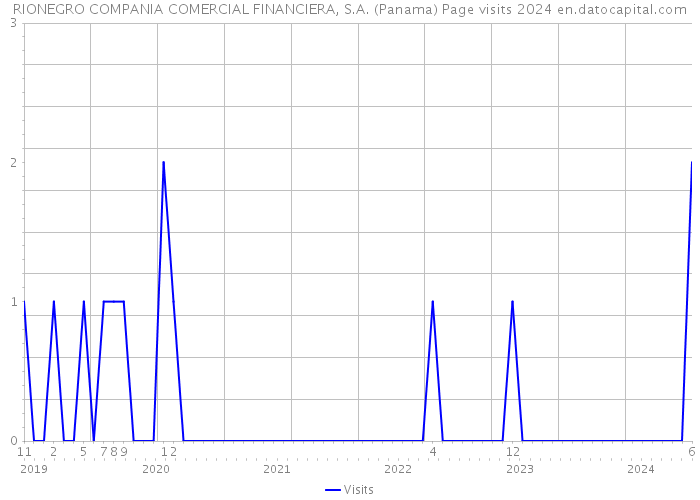 RIONEGRO COMPANIA COMERCIAL FINANCIERA, S.A. (Panama) Page visits 2024 
