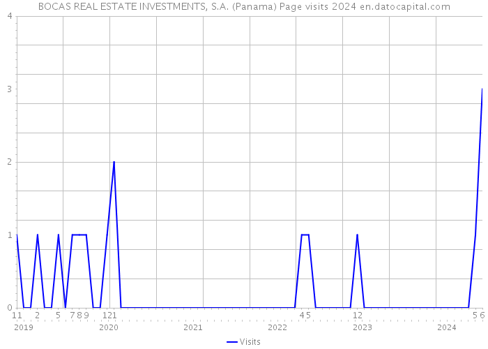 BOCAS REAL ESTATE INVESTMENTS, S.A. (Panama) Page visits 2024 