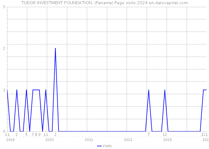 TUDOR INVESTMENT FOUNDATION. (Panama) Page visits 2024 
