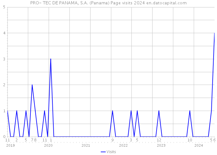 PRO- TEC DE PANAMA, S.A. (Panama) Page visits 2024 