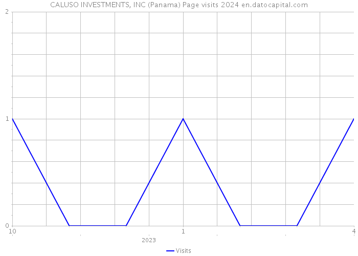 CALUSO INVESTMENTS, INC (Panama) Page visits 2024 