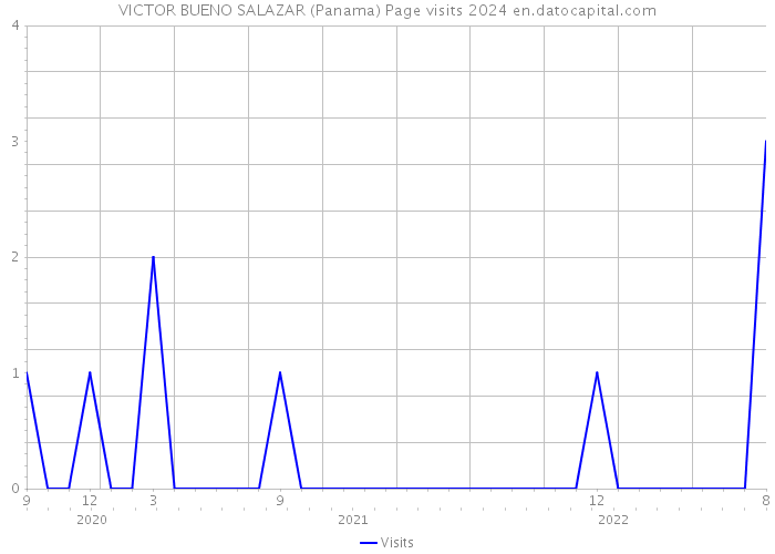 VICTOR BUENO SALAZAR (Panama) Page visits 2024 