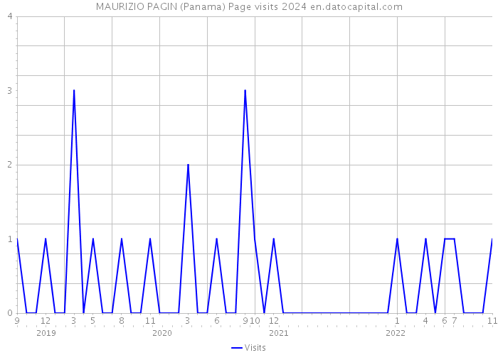 MAURIZIO PAGIN (Panama) Page visits 2024 