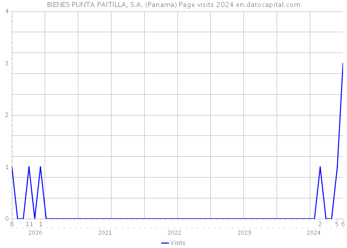 BIENES PUNTA PAITILLA, S.A. (Panama) Page visits 2024 