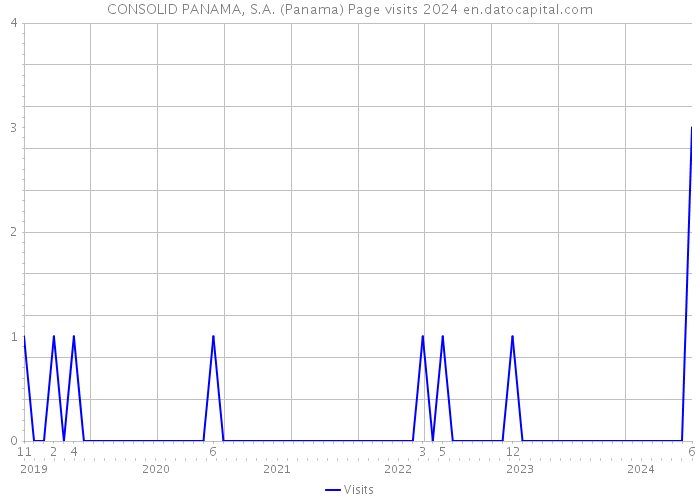 CONSOLID PANAMA, S.A. (Panama) Page visits 2024 