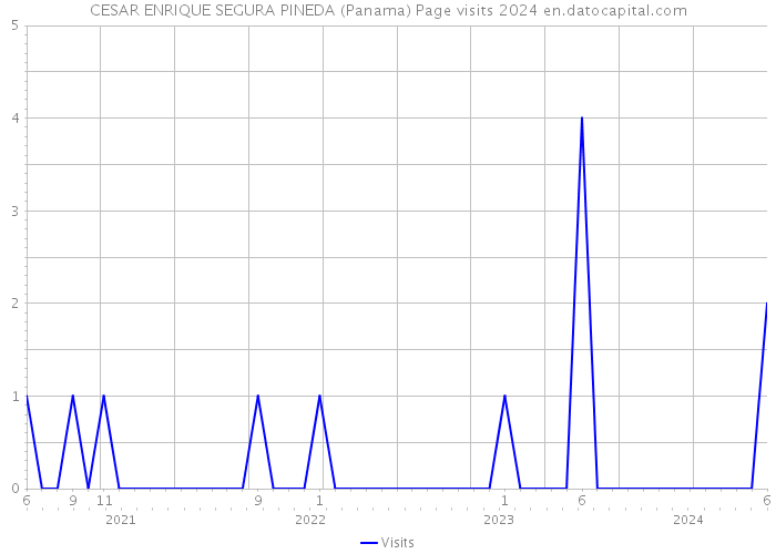 CESAR ENRIQUE SEGURA PINEDA (Panama) Page visits 2024 